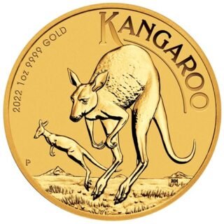 Australian Kangaroo 2022 1oz Gold Bullion Coin - Image 3
