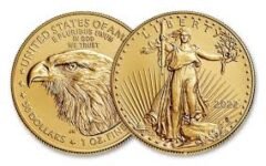 2022 1 oz American Gold Eagle Coin