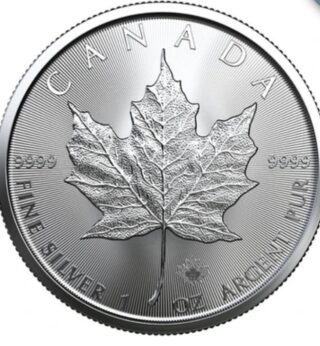 2022 Canadian Silver Maple Leaf Tube - Image 3