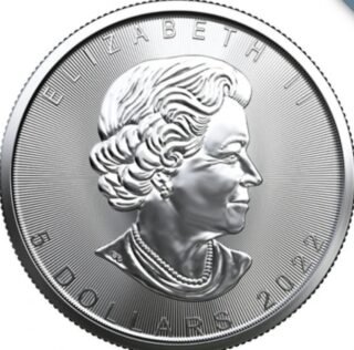2022 Canadian Silver Maple Leaf Tube - Image 2